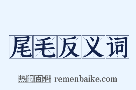 尾毛反义词是什么意思的图片